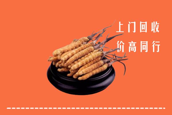 常德回收散虫草