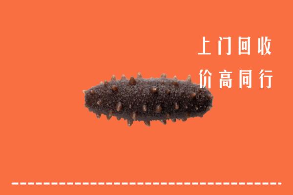 常德回收海参